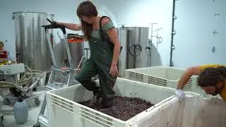 The Process of Wine Making - Water Canyon Winery