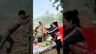 Sugarcane juice extraction: traditional methods