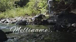 Melliname | Nevin B Jacob | Shajahan |Athul bineesh | Jinto Thomas #trending #melliname