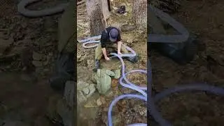 Dredging creek for gold