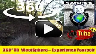 360 Videos | VR | Virtual Reality | WooFSphere | Husky Dog MUSHing a NARROW Bridge - WolFManChi