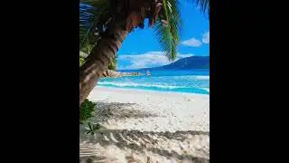 Palm trees, white sand and crystal clear water, welcome to the Seychelles