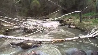 MOV02093