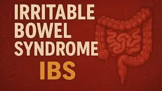 Irritable Bowel Syndrome (IBS) Explained: Causes, Symptoms, Diagnosis & Management |