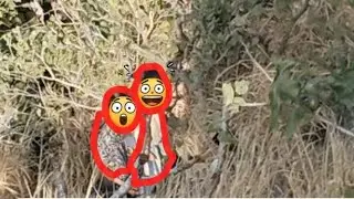 Canaryhill me ladkiyo ka dance 😂🤯🤣#vlog #vloging #vlogs #funny #comedy 