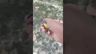 Little spiderhunter | Arachnothera longirostra #birds #spiderhunter #foryou