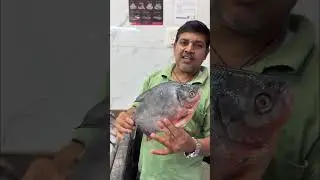 Biggest fish market in Delhi Ina