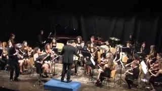 Orchestra I Giovani Accademici - dir. Paolo Angelucci