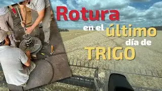 Parec&iacute;a el &uacute;ltimo d&iacute;a de trigo 🌾 pero NO!