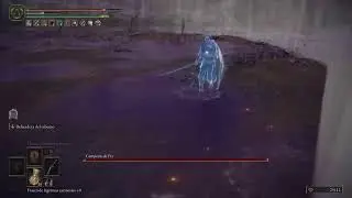 Elden Ring  / P6