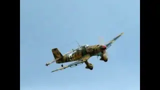 Junkers Ju 87 Stuka, gas engine powered RC model, 2012