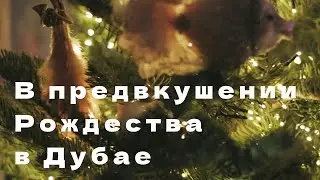 Рождественские приготовления в Дубае