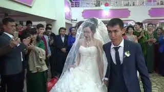 AKTERİ TOY 1