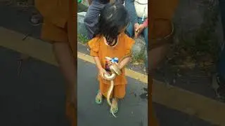 anak kecil pegang ular