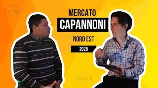 Tendenze del Mercato dei Capannoni Industriali nel Nord Est: prospettive per il 2025