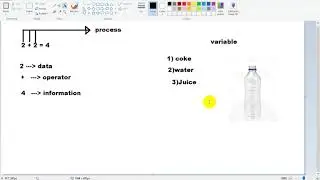 Variable Intro & Data/Information Overview