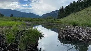 The &ldquo;Rabbit&rdquo; River Revisited - Summer 2024 - Day 4 of 4