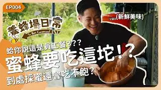 呃呃呃這坨是員工餐！？蜜蜂採蜜還會吃不飽？《養蜂場日常 EP004》