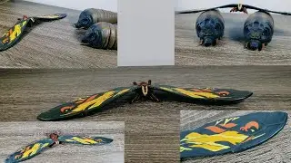 Godzilla Figure Review #45: 2019 Mothra Bandai Japan MMS Figure