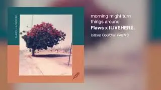 Flaws x ILIVEHERE. - morning might turn things around