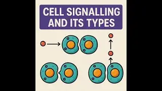 Cell Signaling: Descriptive explanation with its types and functions by Miss Prachi Tripathi  .
