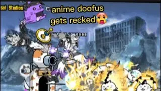 battle cats shitpost - the mass violation of Musashi🥶🥶