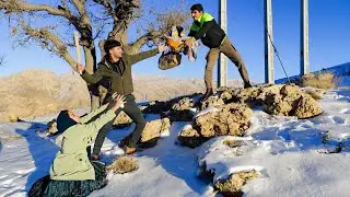Maryam and Omid's trip to see Yalda in minus 40🥶 degree temperature in the mountains🥶❄️🌧️