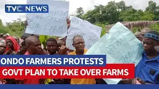 Displaced Farmers Would be Integrated for Better Yields and Improved Income - Ondo Govt