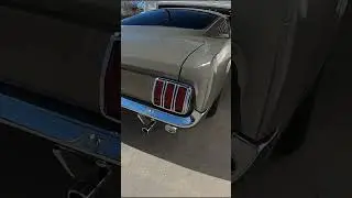 1965 Mustang Fastback 2+2