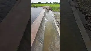 A small dam overflow