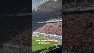 M&ouml;nchengladbach Fans er insane 🤯🤯 #footballshorts #football #bundesliga #vfl #borussia #fans