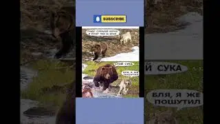 #юмор #шуточное #мем #смешновидео