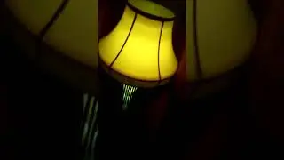 Old Mam's Leg lamp