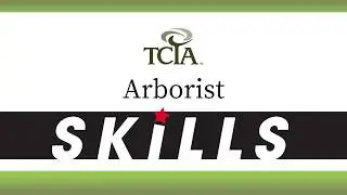 TCIA Arborist Skills: Tree inspection: A continuous process.