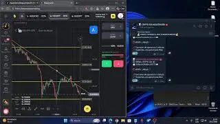 Operando en vivo en Binomo