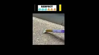 respect 🥶🥶🥶😱