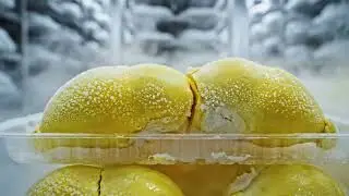 Inside a Durian Processing Factory From Harvest to Frozen Durian Perfection