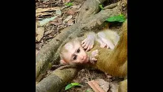 I'm sorry Mummy!