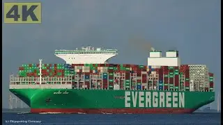 EVER ARM - Shipspotting Germany 🇩🇪 IMO 9893931 - River Elbe near City Otterndorf - 4K VIDEO