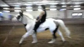 SDC10894.AVI