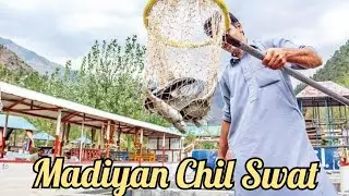 Madiyan Swat||Madiyan  Beautiful Valley of kp  Tour of Pakistan||swatains walker