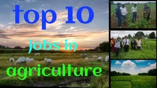 🤔top 10 jobs in agriculture fields🙂🙂।। careers in agriculture.succeed tutorial (Hindi)