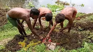 'LIFE SKILLS FOR SURVIVAL' - Fishing by Indian Tribes of North Bengal # 6