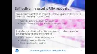 Louise Baskin and Michael Freeley - RNAi success in difficult to transfect cells by self delivering