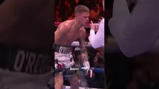 ФИРМЕННЫЙ РАЗРУШИТЕЛЬНЫЙ БОЙ Джека Рафферти! 💥🥊 #бокс #нокаут #джекрафферти #боксерскийматч