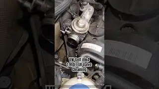 Egr Valve Cleaning VW Golf Mk4 1.9tdi 74kw