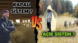 KAPALI SİSTEM Mİ ? MERA KOYUNCULUĞU MU ? | GÜNCEL