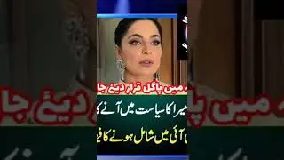 Lollywood film star Meera declared insane in US Pakistani #filmstar decides to join #PTI #youtubesho