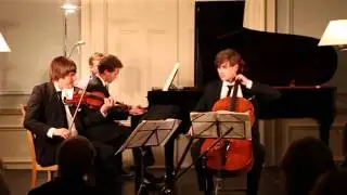 Haydn Gypsy Rondo Trio | The Busch Ensemble | Live in Concert