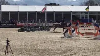 Vibrato d&rsquo;Enocq - victoire 1.40m CSI 2* Lanaken - 31/03/2018